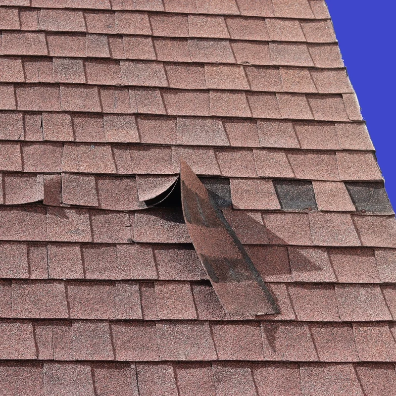 Blown off asphalt shingles are a sign of rood damage that needs to be addressed immediately before extensive damage occurs and a costly replacement is needed.